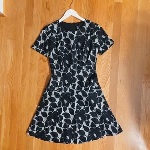 ANN TAYLOR Dress in 00 Petit